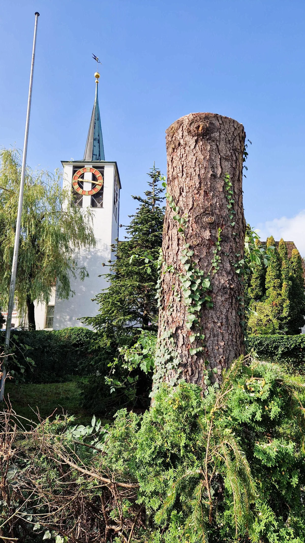 Ein Baumstamm mit einer Kirche im Hintergrund.
